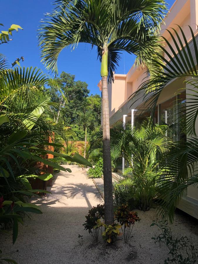 11Br I Hacienda Zalama Tulum Kültér fotó